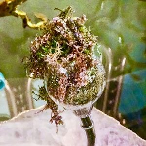 Meet your Posher, Adam